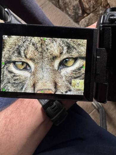 Experiencia de naturaleza en Gato Clavo: seguimiento fotográfico