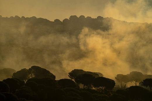Paisaje de Sierra de Andújar: niebla entre encinas