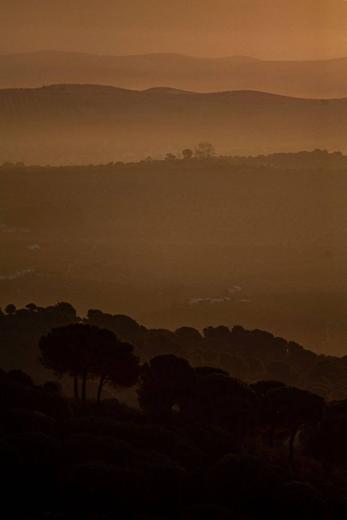 Paisaje de Sierra de Andújar: perfiles de niebla