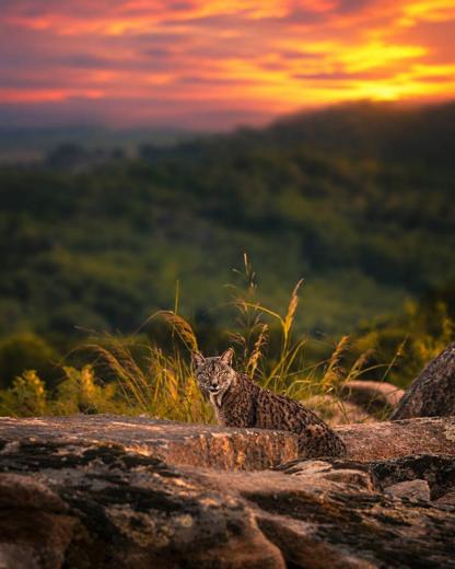 Paisaje de Sierra de Andújar: puesta de sol sobre roca