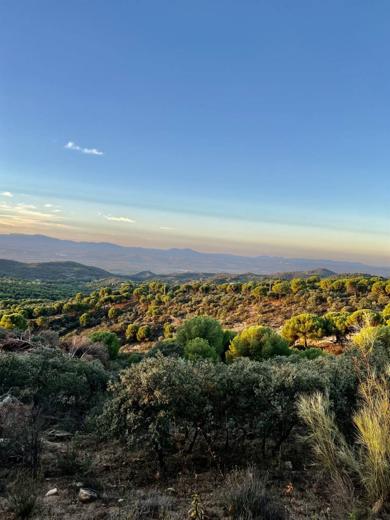 Paisaje de Sierra de Andújar: valle azul